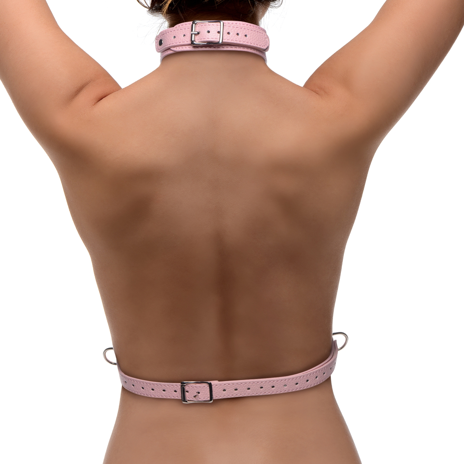 24804-frisky-miss-behaved-pink-chest-harness_02_model_q100